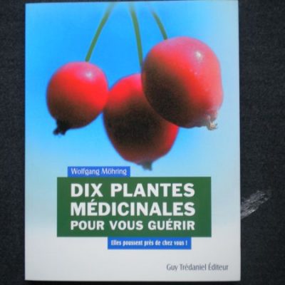 dix plantes médicinales pour vous guérir