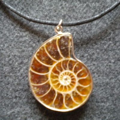 pendentif petite ammonite fossile