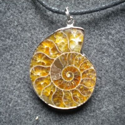pendentif grande ammonite fossile