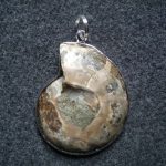 pendentif grande ammonite fossile