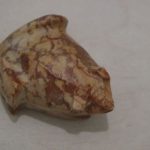 grenouille stéatite