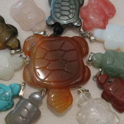 tortues