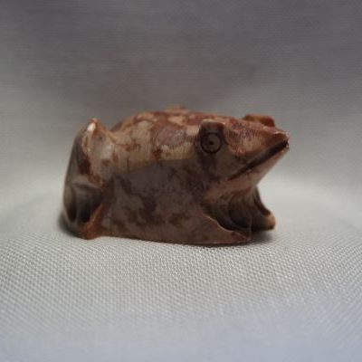 grenouille stéatite