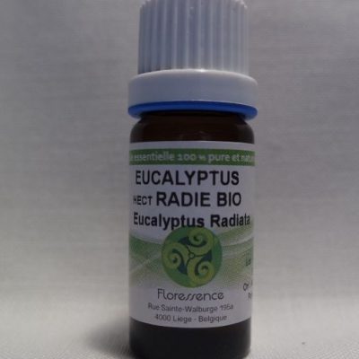 HE Eucalyptus radié bio 10ml