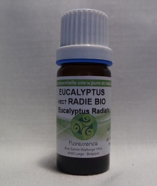 HE Eucalyptus radié bio 10ml