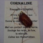 pendentif rune FEHU pour l&rsquo;abondance