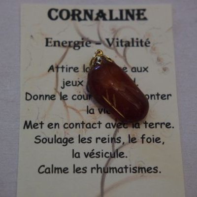 pendentif rune FEHU pour l&rsquo;abondance