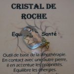 pendentif rune EHWAZ pour le changement