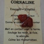 pendentif éléphant cornaline