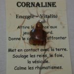 pendentif tortue cornaline