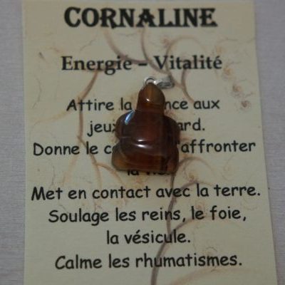 pendentif tortue cornaline