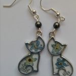 chats myosotis