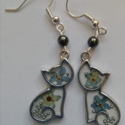 chats myosotis