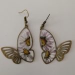 grands papillons