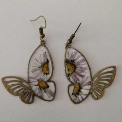 grands papillons