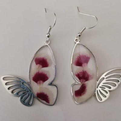 grands papillons